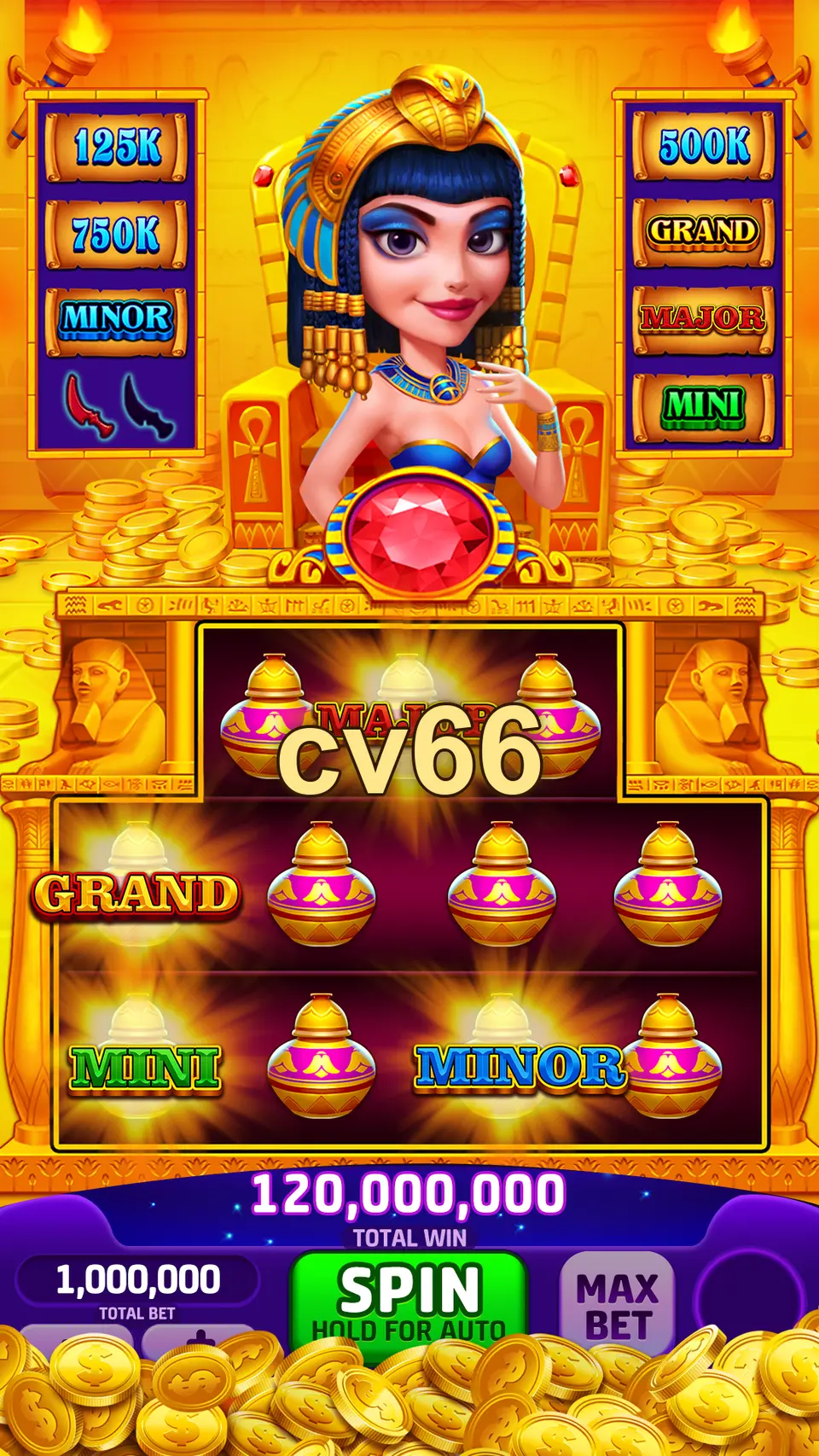 cv66 লগইন